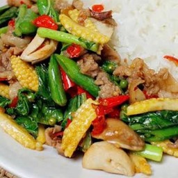 ผัดขี้เมาหมู ผัดขี้เมาไก่ราดข้าว