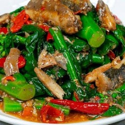 คน้าปลากระป๋อง