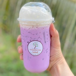 นมเผือก