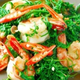 ผัดชะอมพริกขี้หนูสด (กับข้าว)