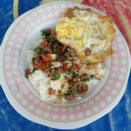 ข้าวราดกระเพราเนื้อ  กระเพราหมู กระเพราไก่
