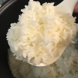 ข้าวเปล่า