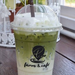 Iced Matcha Latte