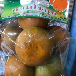 ส้มโชกุน