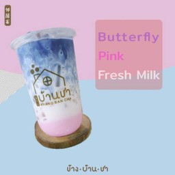 นมชมพูอัญชัน