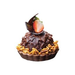 Rocher Choc Dome