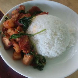 กระเพราหมูกรอบราดข้าว