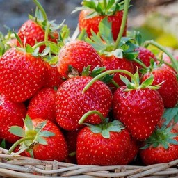 สตอเบอรี่สด แบบพิเศษจุใจ