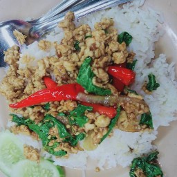 รอฮาน่า อาหารตามสั่ง เเยกโรงปูน ลพบุรีราเมศวร์