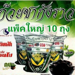 เฉาก๊วยชากังราว 1 แพ็ค ( 10 ถุงเล็ก)