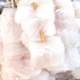 ปลาดอลลี่