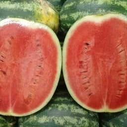 แตงโมซอลญ่า 1 ลูก