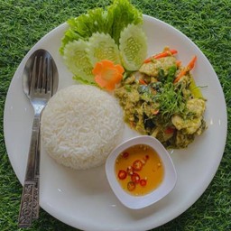แกงเขียวหวานแห้งราดข้าว (Dry Green Curry with Meat over Rice) #D