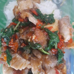 กระเพราหมูกรอบไข่เยี่ยวม้าราดข้าว