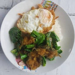ข้าวป้า-หลังโรงพยาบาลกรุงเทพ