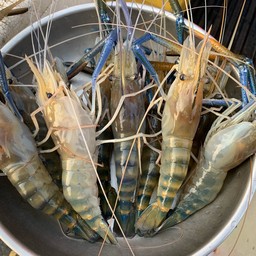 เจ๊ณีกุ้งสด