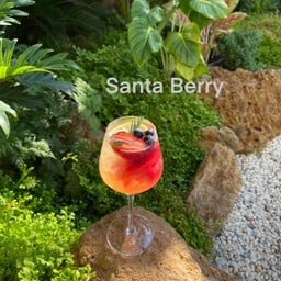Santa berry