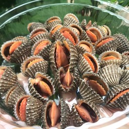 หอยแครงลวกจิ้ม