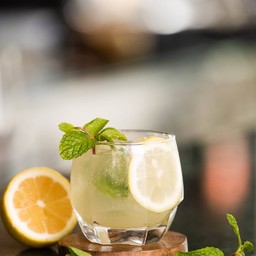 Fresh Lemon Mint
