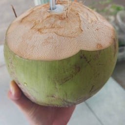 น้ำมะพร้าวน้ำหอมสด