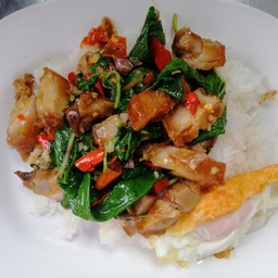 ข้าวราดกระเพรา