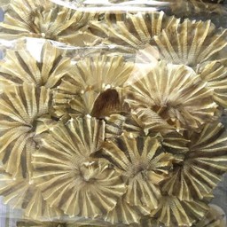 ปลีกปลากระเบน