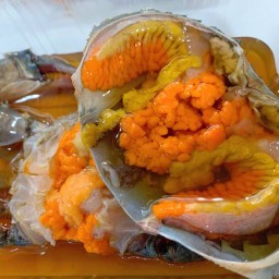 เปิดบ้านดองลองดู