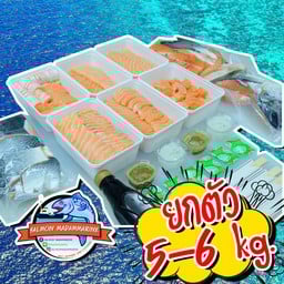 โปรเหมา เหมา Salmon ทั้งตัวแล่ซาซิมิ