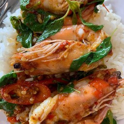 กะเพรากุ้งราดข้าว