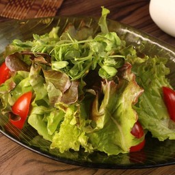 สลัดผักรวม ( Yasai Salad )