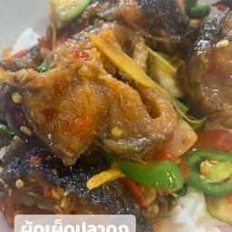 ผัดเผ็ดปลาดุกกรอบราดข้าว