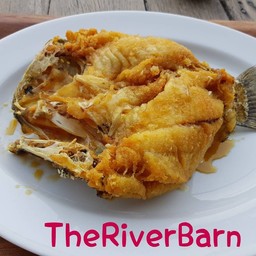 ปลากะพงทอดน้ำปลา