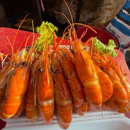 กุ้ง