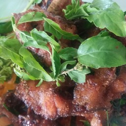 ผัดกะเพราปลาช่อนทอดกรอบ