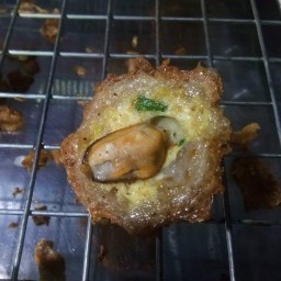 หอยครกลุงต้น