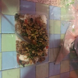 ครัวป้าสา