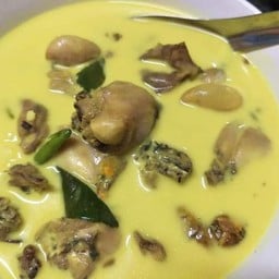 ต้มกะทิกบนา