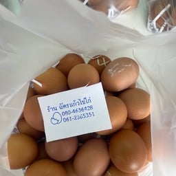 ฉัตรแก้วไข่ไก่