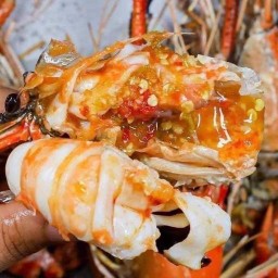 จูน&ต๋อง กุ้งเผา ปลากะพงทอดน้ำปลา