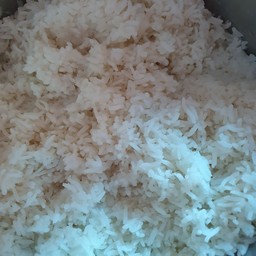 ข้าวเปล่า