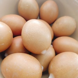 ไข่เยี่ยวม้า(ไข่เยี่ยวม้าของที่ร้านเปลือกสีเดียวกับไข่ไก่ค่ะ)