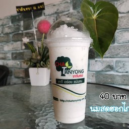 นมสดฮอกไกโด