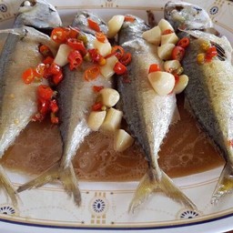 ปลาทูซาเตี๋ย