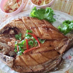 ปลากระพงทอดน้ำปลา