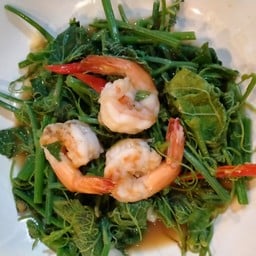 ผัดผักแม้วกุ้งสด