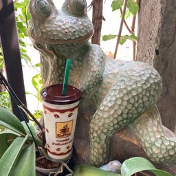 ไวท์มอล์ต