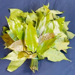 ฟาร์มเจริญ ผัก ผลไม้ อาคารเกษตรอินทรีย์อตก.จตุจักร