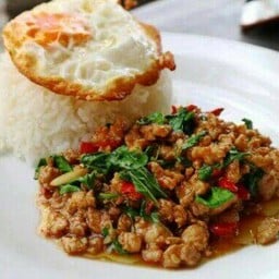 ครัวกระเพรา(พริกแห้ง)@ป่าแดด