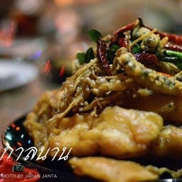 ร้านตะเกียง&กาลนาน