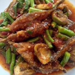 ศรีสุวรรณ อาหารป่า (ฝากฝัน)
